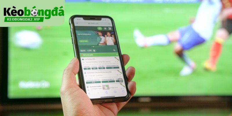 Cược 1x2 Là Gì: Cách Hiểu Ba Khả Năng Kết Quả Trong Bóng Đá 1 Cược 1x2 là gì