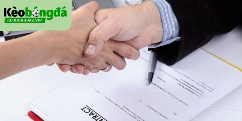 điều kiện điều khoản 2 Trách nhiệm và nghĩa vụ của người dùng trong điều kiện điều khoản