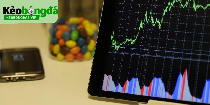 Kinh Nghiệm Cược Bóng Đá Dựa Trên Dữ Liệu Và Nhịp Trận 2 Kinh nghiệm cược bóng đá trước trận giúp định hình kịch bản.