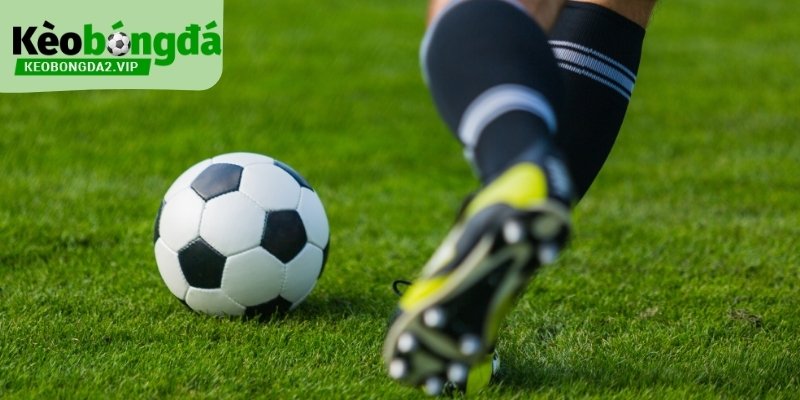 Kinh Nghiệm Cược Bóng Đá Dựa Trên Dữ Liệu Và Nhịp Trận 1 kinh-nghiem-cuoc-bong-da
