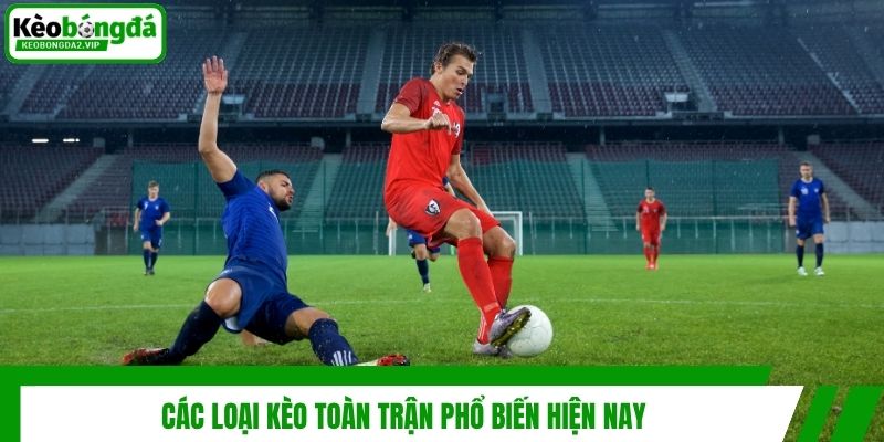 Kèo Toàn Trận - Bí Quyết Cá Độ Thắng Lớn Từ Kèo Bóng Đá 3 Các loại kèo toàn trận phổ biến hiện nay