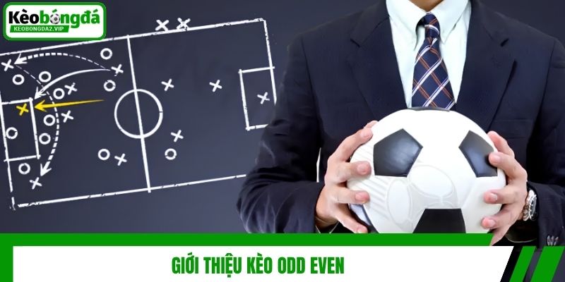 Kèo Odd Even Là Gì? Kinh Nghiệm Soi Kèo Chuẩn Nhất 2 Giới thiệu kèo odd even