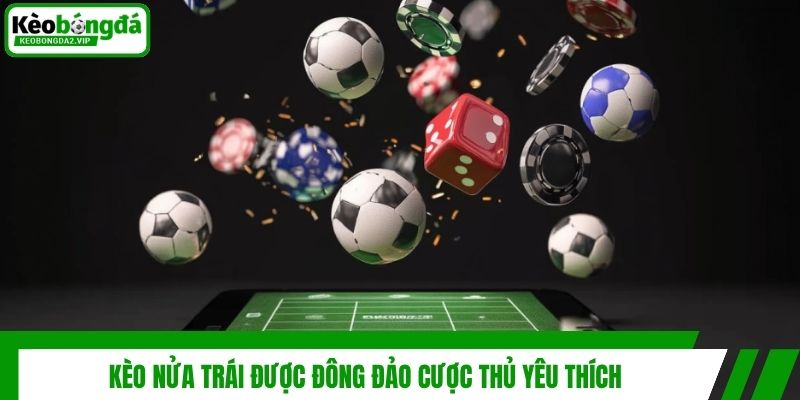 Kèo Nửa Trái Là Gì Và Bí Kíp Đặt Kèo Chấp 0.5 Luôn Thắng 2 Kèo nửa trái được đông đảo cược thủ yêu thích