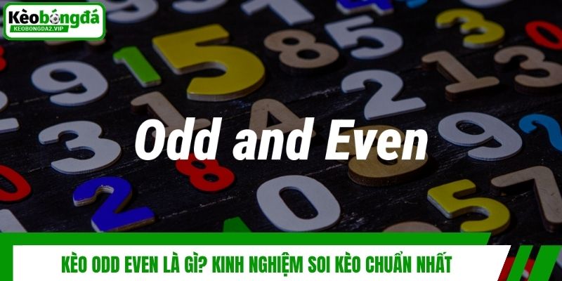 Kèo Odd Even Là Gì? Kinh Nghiệm Soi Kèo Chuẩn Nhất 1 Kèo Odd Even Là Gì? Kinh Nghiệm Soi Kèo Chuẩn Nhất