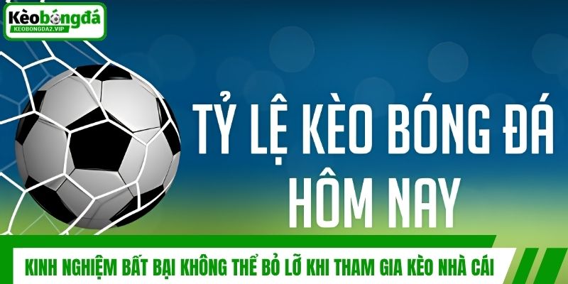 Kinh Nghiệm Bất Bại Không Thể Bỏ Lỡ Khi Tham Gia Kèo Nhà Cái 1 Kinh Nghiệm Bất Bại Không Thể Bỏ Lỡ Khi Tham Gia Kèo Nhà Cái