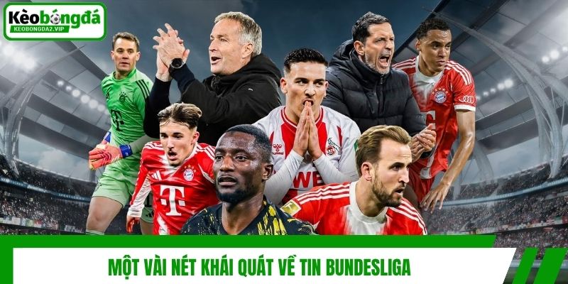 Tin Bundesliga Cập Nhật Mới Nhất Tại Website Kèo Bóng Đá 2 Một vài nét khái quát về tin Bundesliga
