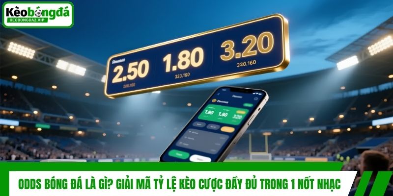 Odds Bóng Đá Là Gì? Giải Mã Tỷ Lệ Kèo Cược Đầy Đủ 1 Odds Bóng Đá Là Gì? Giải Mã Tỷ Lệ Kèo Cược Đầy Đủ