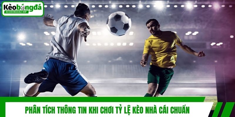 Tỷ Lệ Kèo Nhà Cái Chuẩn - Bí Quyết Đọc Vị Mọi Trận Đấu 4 Phân tích thông tin khi chơi tỷ lệ kèo nhà cái chuẩn