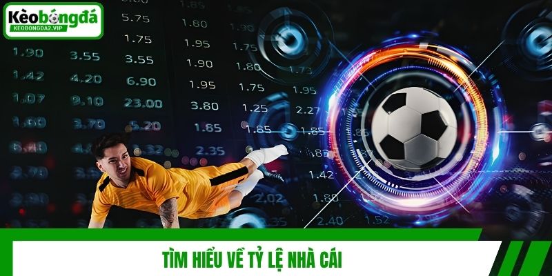 Tỷ Lệ Nhà Cái - Cập Nhật Nhanh & Chính Xác Tại Kèo Bóng Đá 2 Tìm hiểu về tỷ lệ nhà cái