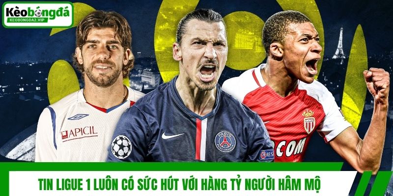 Tin Ligue 1 Mới - Cập Nhật Kết Quả, Bảng Xếp Hạng Bóng Đá 2 Tin Ligue 1 luôn có sức hút với hàng tỷ người hâm mộ