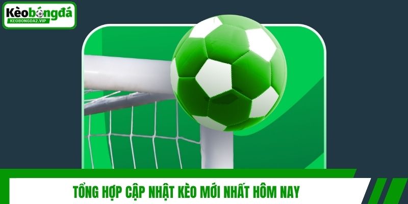 Cập Nhật Kèo Mới Nhất Hôm Nay - Tỷ Lệ Chuẩn Xác Từng Trận 2 Tổng hợp cập nhật kèo mới nhất hôm nay