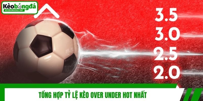 Kèo Over Under - Hướng Dẫn Dự Đoán Kết Quả Bóng Đá Cực Đỉnh 3 Tổng hợp tỷ lệ kèo over under hot nhất