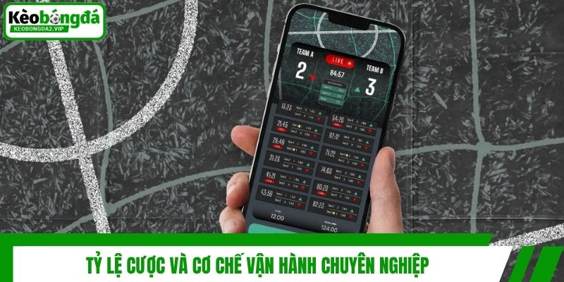 Tỷ Lệ Cược Là Gì - Cẩm Nang Đọc Odd Và Soi Kèo Thắng 99% 2 Tỷ lệ cược và cơ chế vận hành chuyên nghiệp