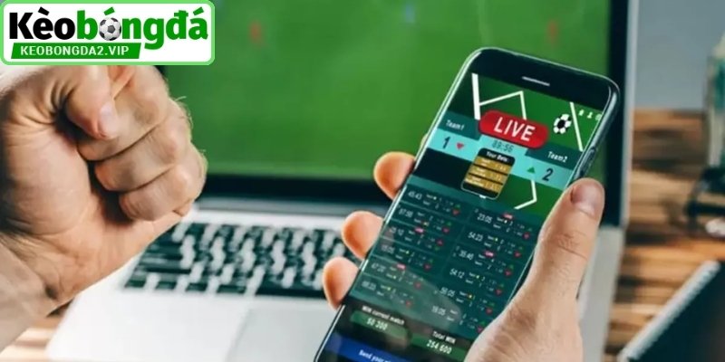 Tỷ Lệ Kèo Nhà Cái 5, Cập Nhật Dữ Liệu Bóng Đá Trực Tuyến 4 Chiến thuật chơi thông minh cho anh em